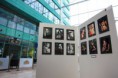 /album/face-to-face/phoca-thumb-l-lolla-060-jpg/